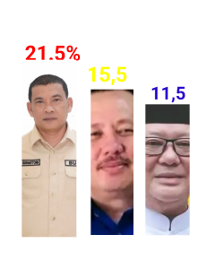 Devi Suhartoni Ungguli Hasil Survey Calon Bupati Muratara