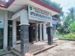 Dinas Kehutanan  Disorot karena Dinilai Tidak Transparan dalam Pengawasan TNKS dan Hutan Produksi