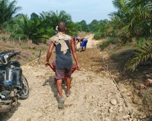 Pembangunan Jalan Usaha Tani Desa Krani Jaya Capai 80 Persen, Sesuai Arahan Program Ketahanan Pangan Nasional